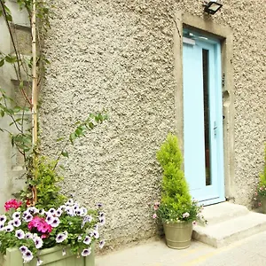 https://harry-clarke-mews.dublin-hotelsweb.com